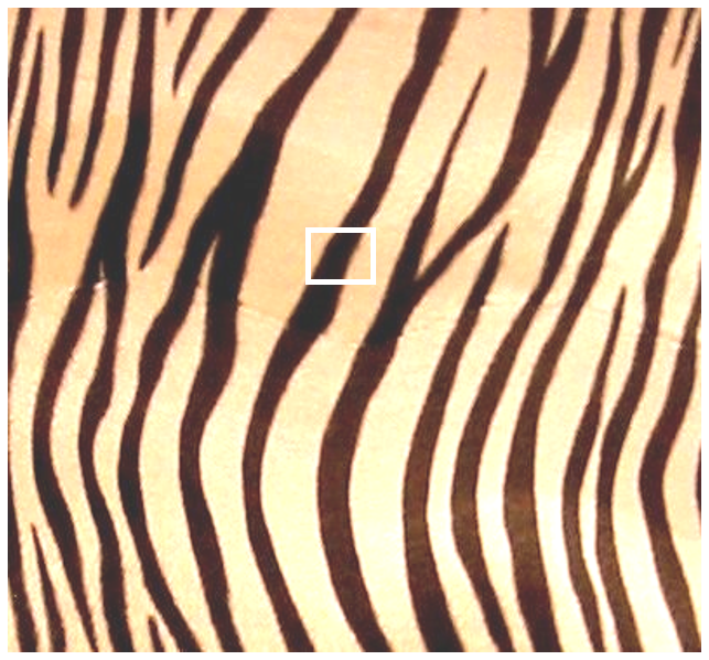 Zebra Sample Stripe