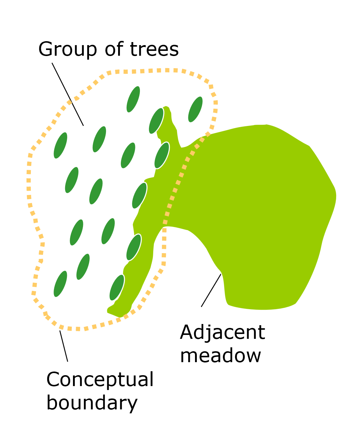 Orchard Problem 1