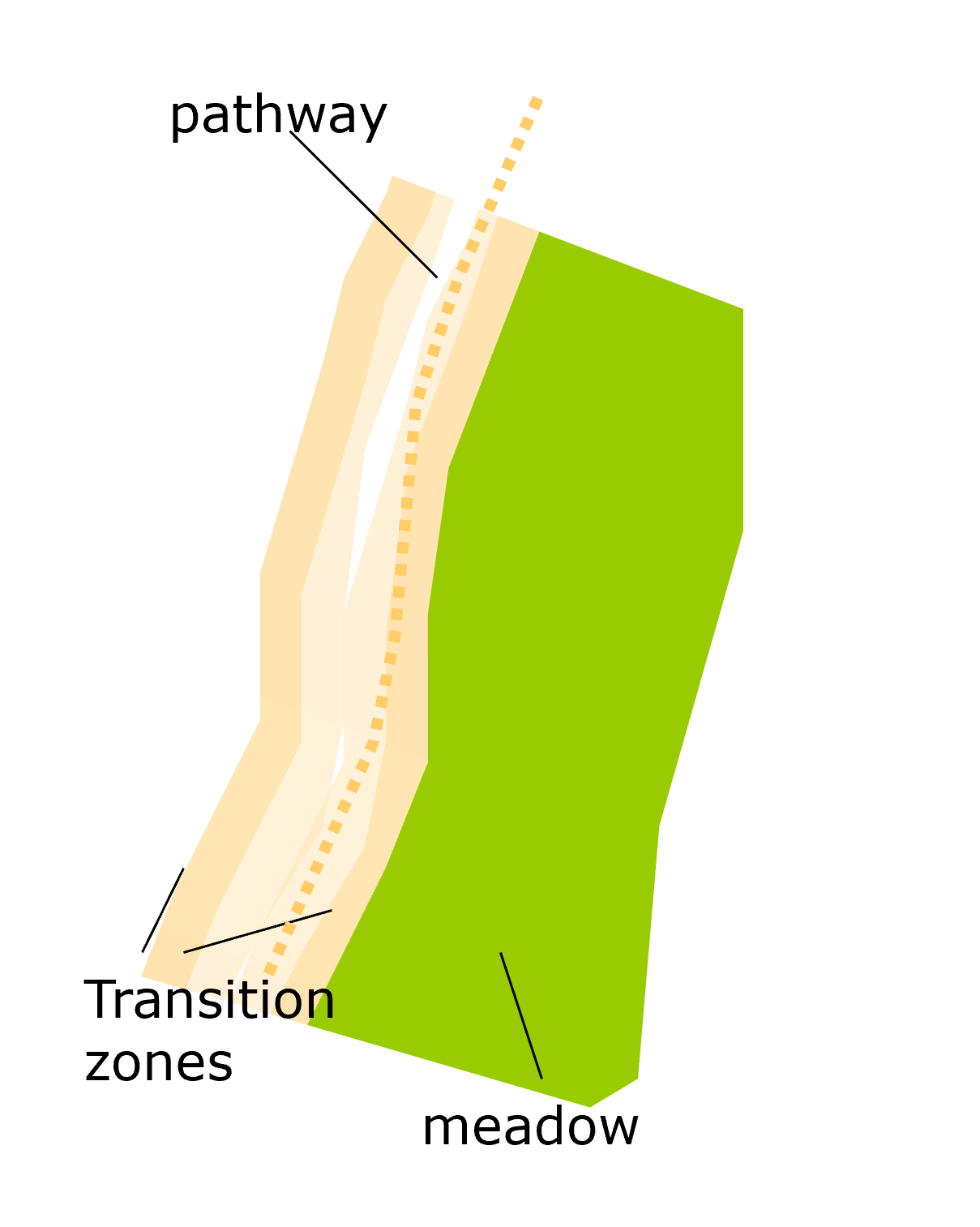 Orchard Problem 2