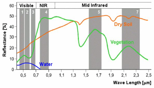 Spectral Signature of Vegetation