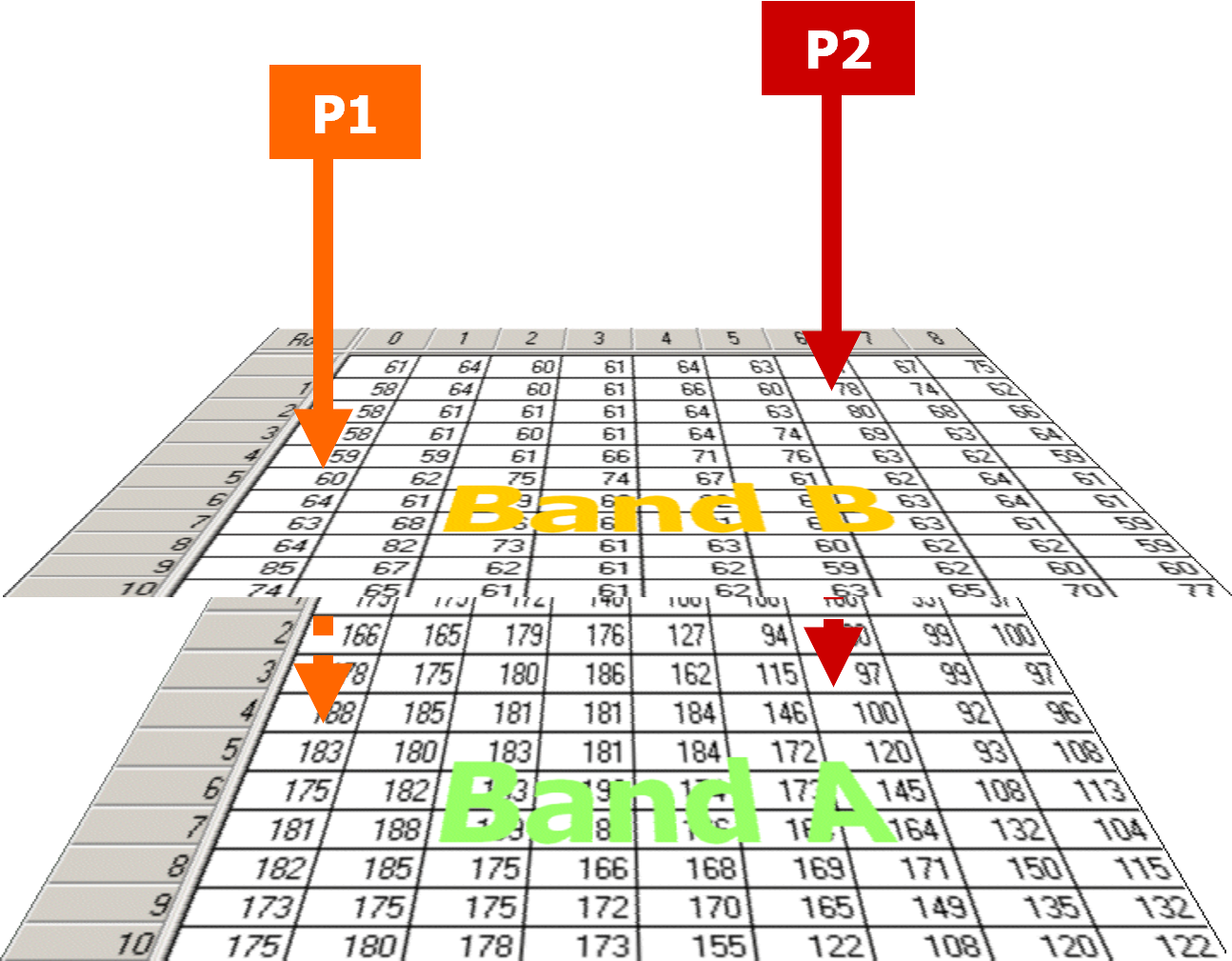 Visualization of the raster image in different bands