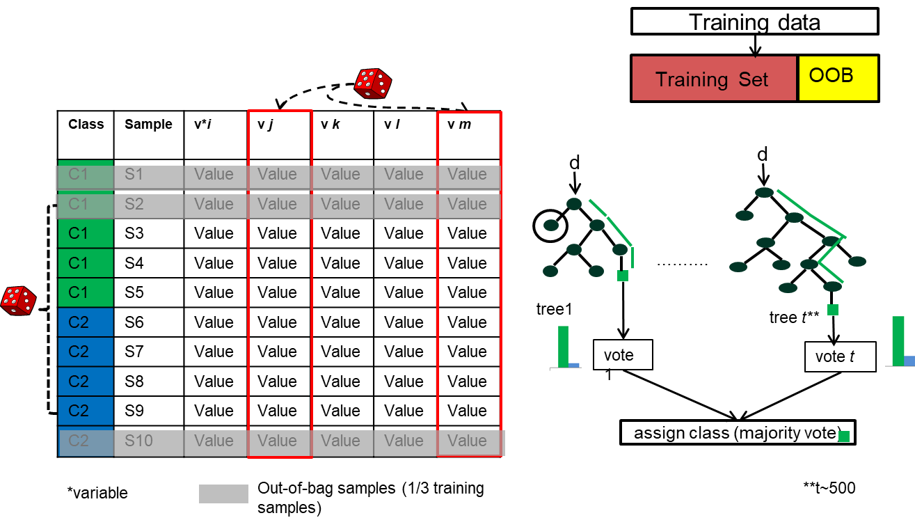 Random Forest Overview